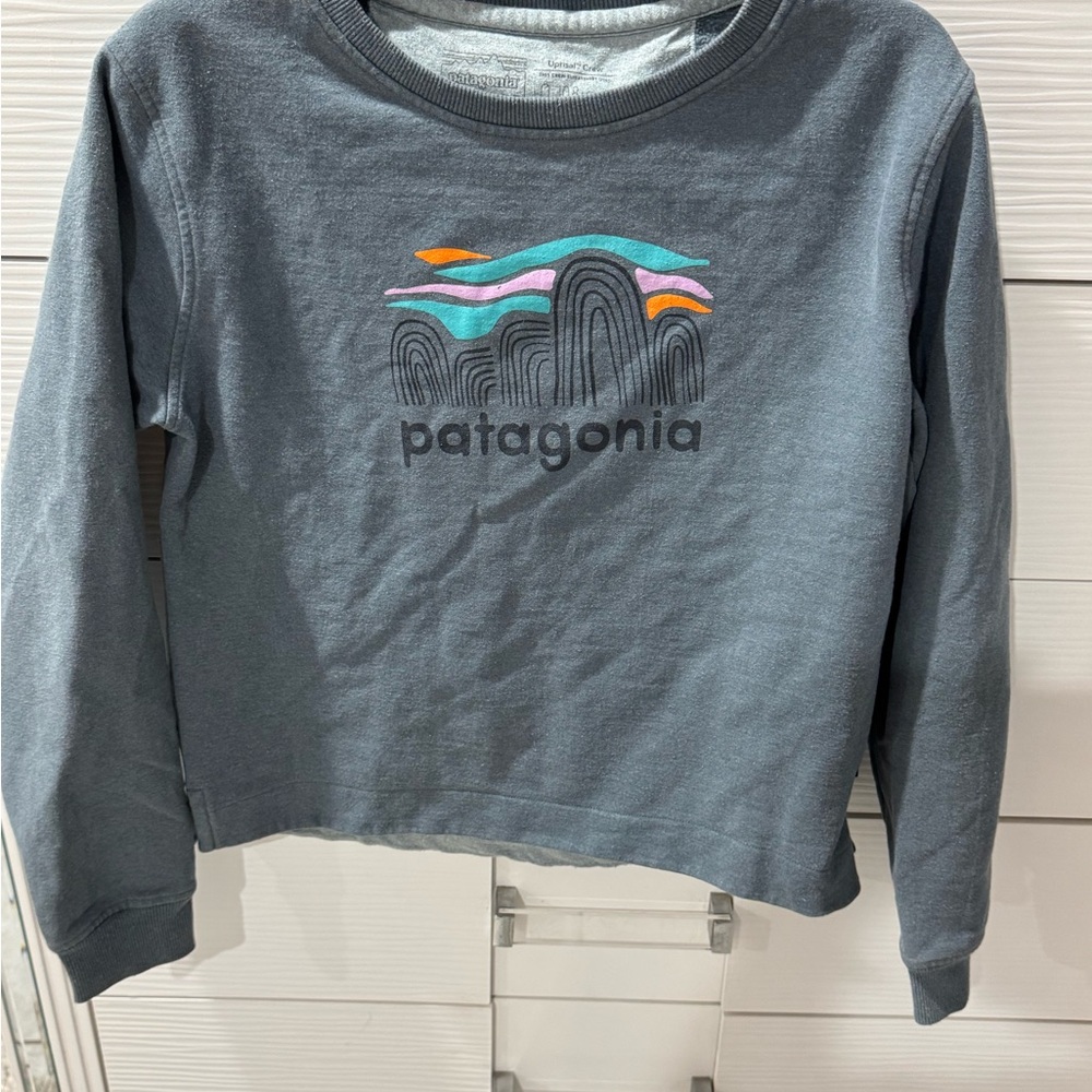 Patagonia Gray Graphic Sweatshirt